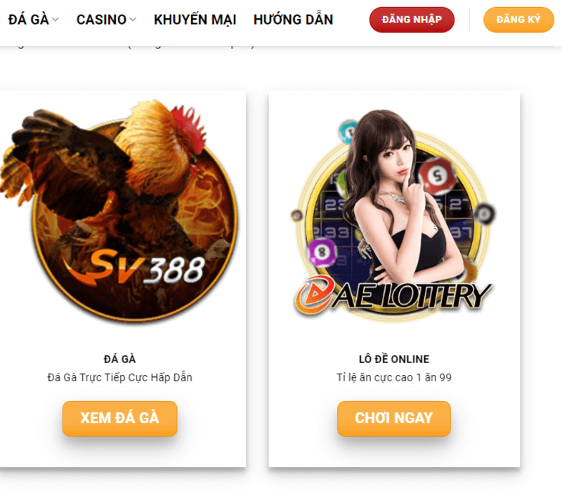 Suncity – Nhà Cái Cá Cược Xanh Chín Hàng Đầu Khu Vực 3 Đá gà tại SunCity được ưa chuộng bậc nhất hiện nay